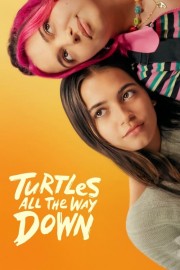 Turtles All the Way Down-hd
