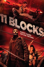 11 Blocks-hd