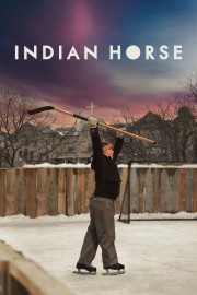Indian Horse-hd