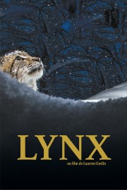 Lynx-hd
