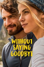 Without Saying Goodbye-hd