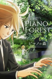 The Piano Forest-hd