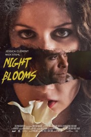 Night Blooms-hd