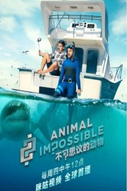 Animal Impossible-hd