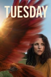 Tuesday-hd