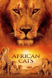 African Cats-hd