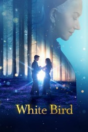 White Bird-hd