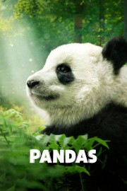 Pandas-hd