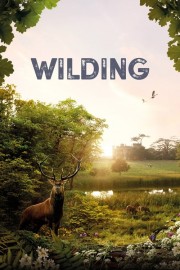 Wilding-hd