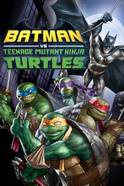 Batman vs. Teenage Mutant Ninja Turtles-hd
