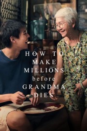 How to Make Millions Before Grandma Dies-hd