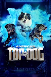 America's Top Dog-hd