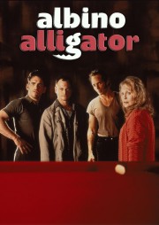 Albino Alligator-hd