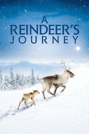 A Reindeer's Journey-hd