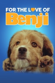 For the Love of Benji-hd