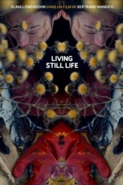Living Still Life-hd