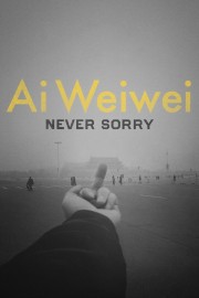 Ai Weiwei: Never Sorry-hd