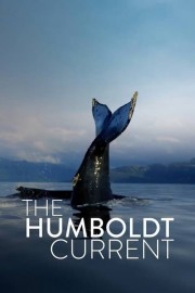 The Humboldt Current-hd