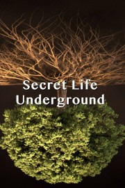 Secret Life Underground-hd