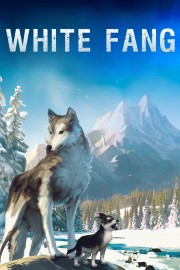 White Fang-hd