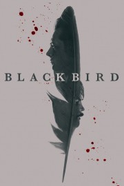 Black Bird-hd