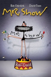Mr. Show with Bob and David-hd