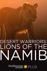 Desert Warriors: Lions of the Namib-hd