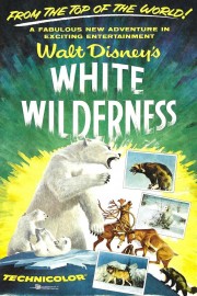 White Wilderness-hd