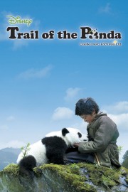 Trail of the Panda-hd