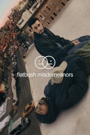 Flatbush Misdemeanors-hd