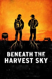 Beneath the Harvest Sky-hd