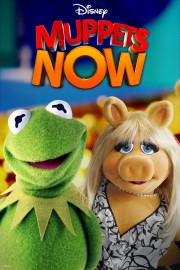 Muppets Now-hd